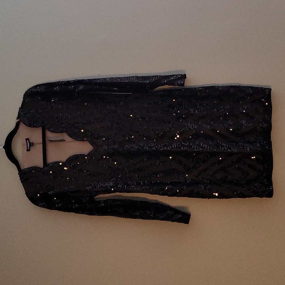 Express Scalloped Sequin Long Sleeve Bodycon Dress